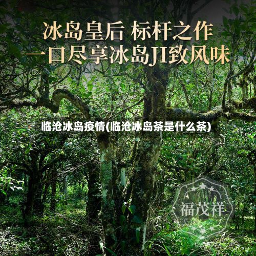 临沧冰岛疫情(临沧冰岛茶是什么茶)-第2张图片