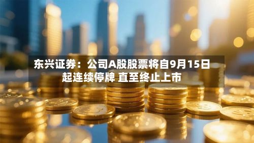 东兴证券：公司A股股票将自9月15日起连续停牌 直至终止上市-第2张图片