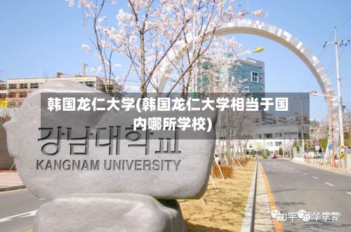 韩国龙仁大学(韩国龙仁大学相当于国内哪所学校)