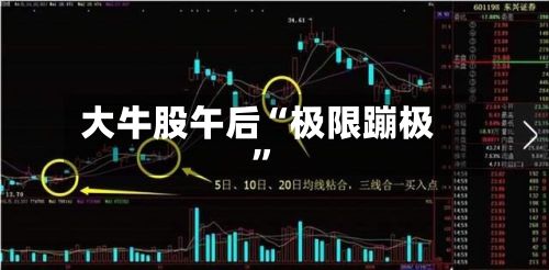 大牛股午后“极限蹦极”-第2张图片