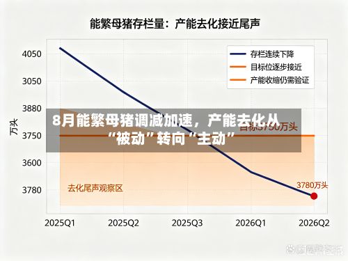 8月能繁母猪调减加速	，产能去化从“被动	”转向“主动”-第2张图片
