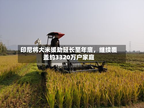 印尼将大米援助延长至年底,继续覆盖约3320万户家庭