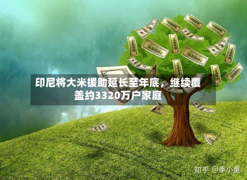 印尼将大米援助延长至年底	，继续覆盖约3320万户家庭-第2张图片