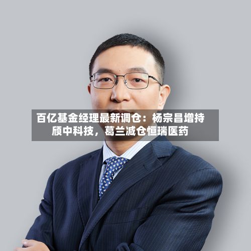 百亿基金经理最新调仓：杨宗昌增持颀中科技，葛兰减仓恒瑞医药-第3张图片