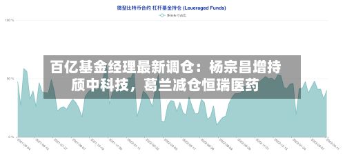 百亿基金经理最新调仓：杨宗昌增持颀中科技，葛兰减仓恒瑞医药-第2张图片