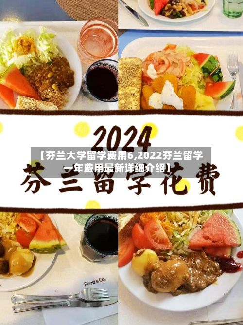 【芬兰大学留学费用6,2022芬兰留学一年费用最新详细介绍】