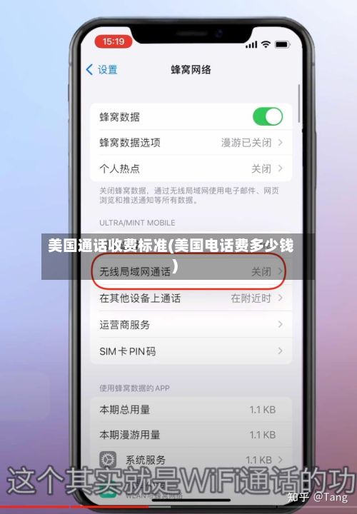 美国通话收费标准(美国电话费多少钱)-第2张图片