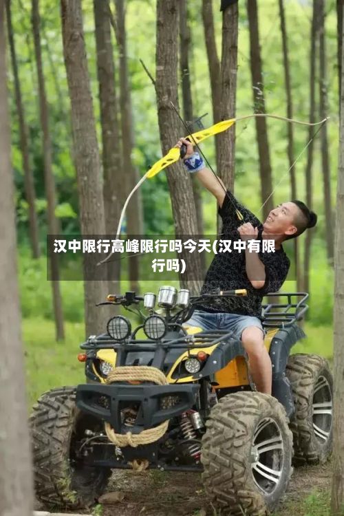 汉中限行高峰限行吗今天(汉中有限行吗)