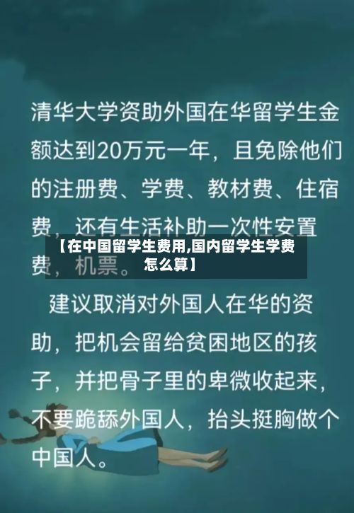 【在中国留学生费用,国内留学生学费怎么算】