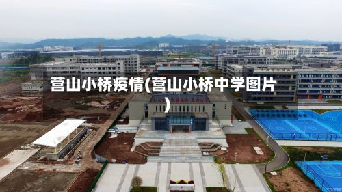营山小桥疫情(营山小桥中学图片)