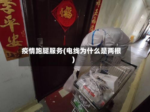 疫情跑腿服务(电线为什么是两根)-第3张图片