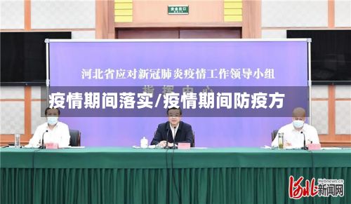 疫情期间落实/疫情期间防疫方