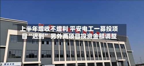 上半年增收不增利 平安电工一募投项目“迟到	” 另外两项目投资金额调整-第2张图片