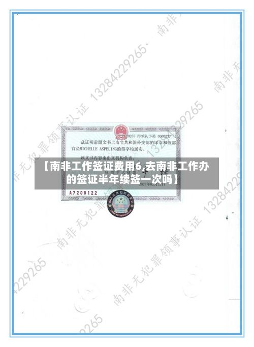 【南非工作签证费用6,去南非工作办的签证半年续签一次吗】-第2张图片