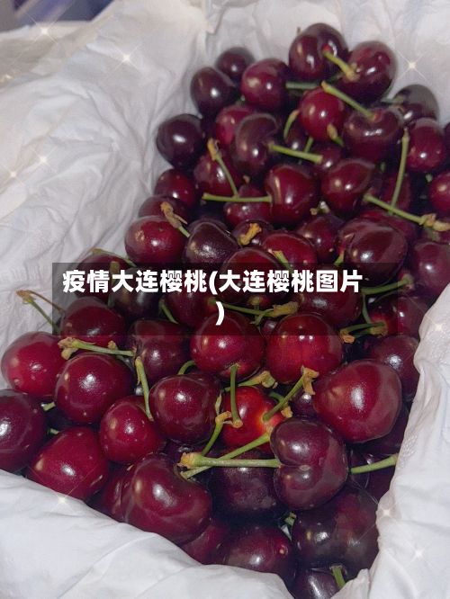 疫情大连樱桃(大连樱桃图片)-第3张图片