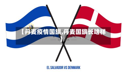 【丹麦疫情国旗,丹麦国旗长啥样】-第2张图片