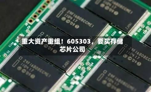 重大资产重组！605303	，要买存储芯片公司-第2张图片