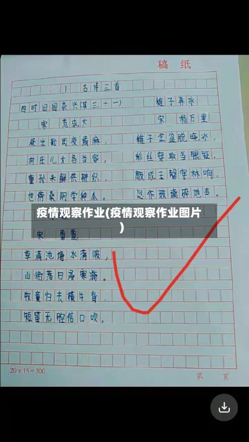 疫情观察作业(疫情观察作业图片)