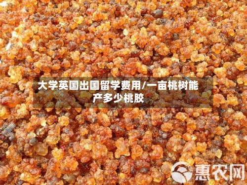 大学英国出国留学费用/一亩桃树能产多少桃胶-第2张图片