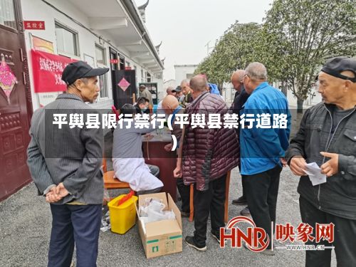 平舆县限行禁行(平舆县禁行道路)