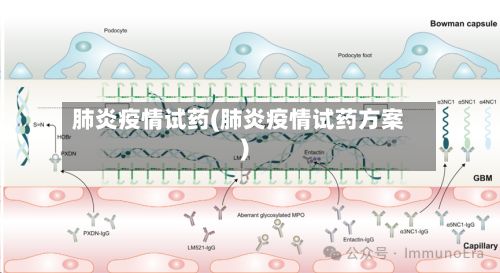 肺炎疫情试药(肺炎疫情试药方案)