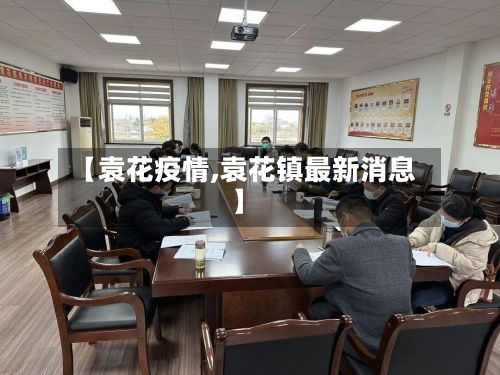 【袁花疫情,袁花镇最新消息】-第2张图片