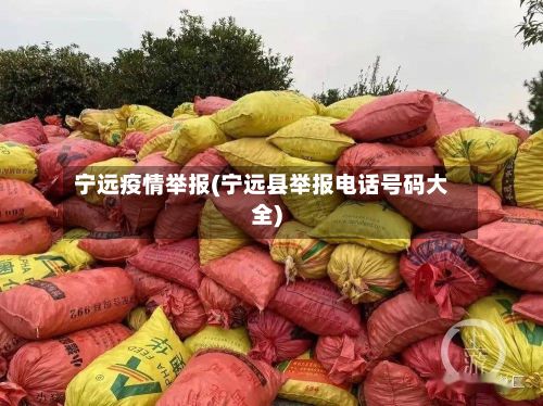 宁远疫情举报(宁远县举报电话号码大全)