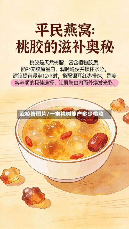 武疫情图片/一亩桃树能产多少桃胶-第2张图片
