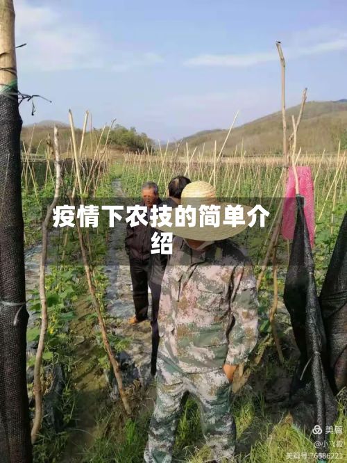 疫情下农技的简单介绍