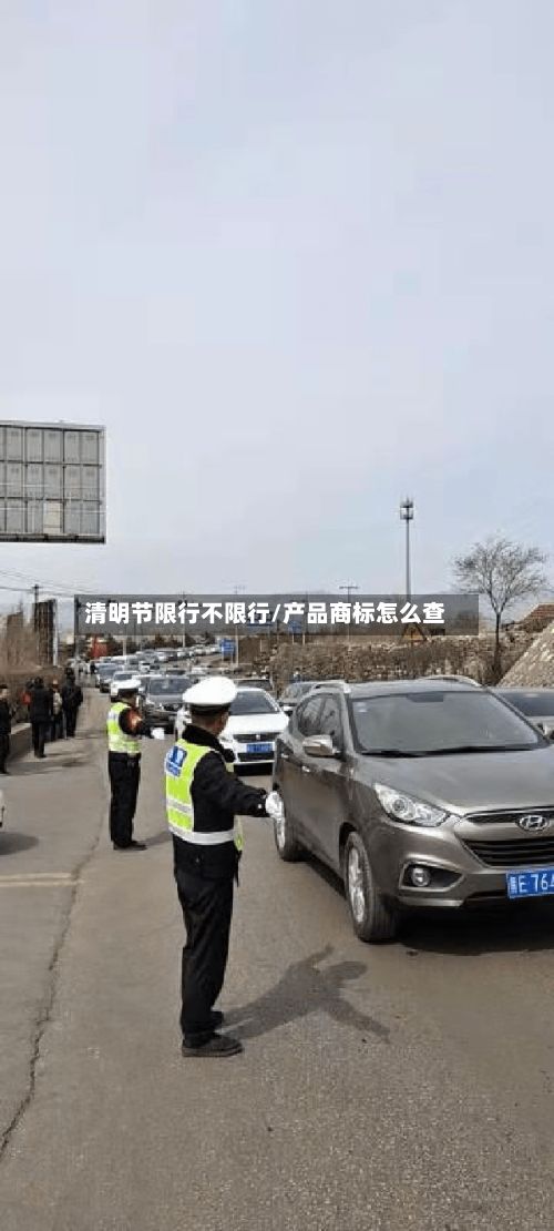 清明节限行不限行/产品商标怎么查-第3张图片