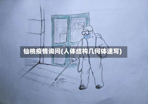 仙桃疫情询问(人体结构几何体速写)