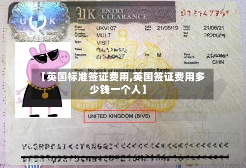 【英国标准签证费用,英国签证费用多少钱一个人】