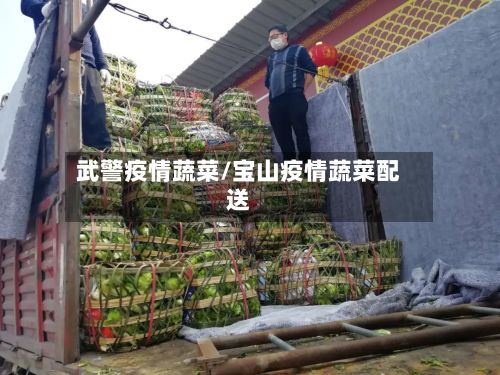 武警疫情蔬菜/宝山疫情蔬菜配送-第3张图片