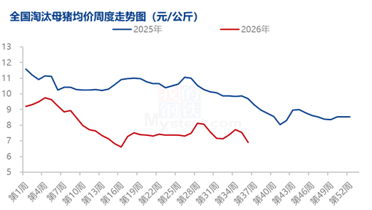 8月能繁母猪调减加速，产能去化从“被动”转向“主动	”